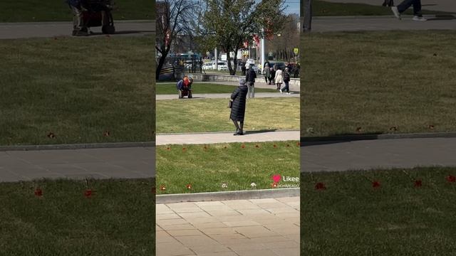 День Победы Питер смотреть онлайн