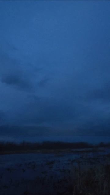 Весенняя охота