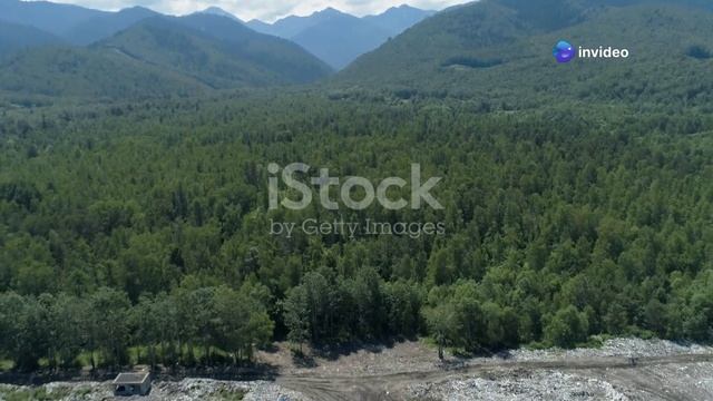 Удивительные факты о языках мира! Сколько языков в мир смотреть онлайн