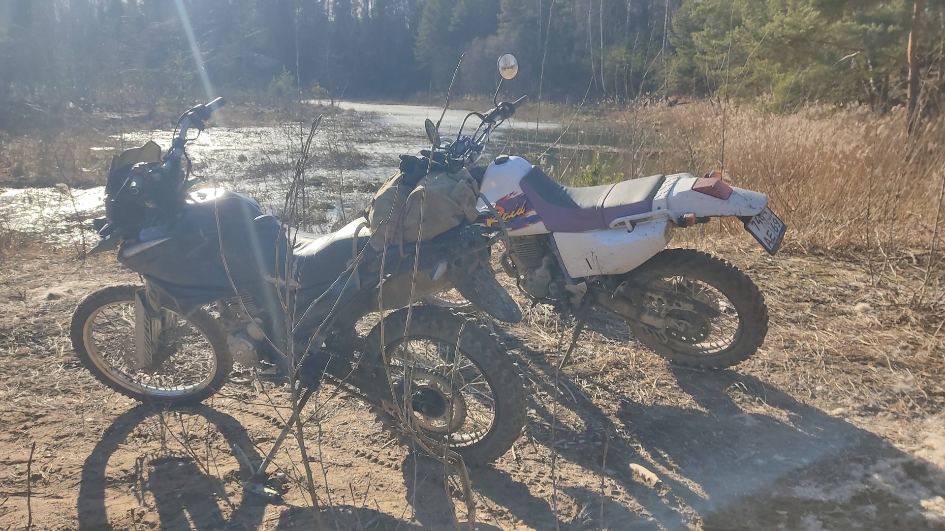 Yamaha TTR и Irbis XR по заваленным лесам смотреть онлайн