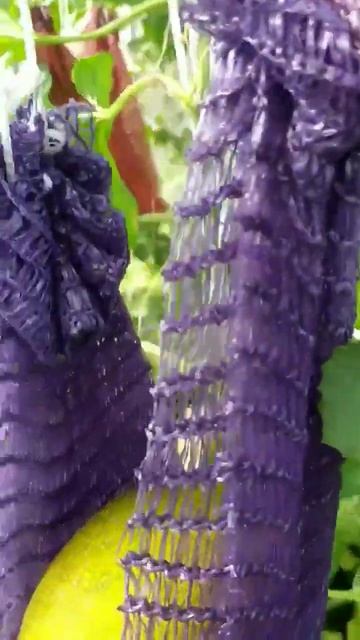 #дача #омск #мудрыеслова #если ты сильно переживаешь, з? смотреть онлайн