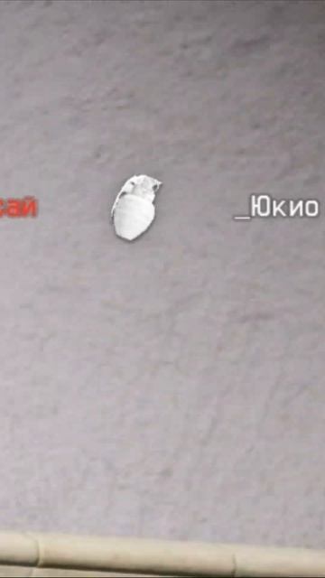 Лучший прокид в Warface! #warface #csgo #прокид #граната #прикол смотреть онлайн