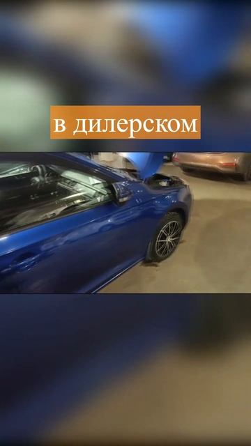 Осмотр автомобиля Skoda Rapid в салоне Регинас. Автоподбор смотреть онлайн