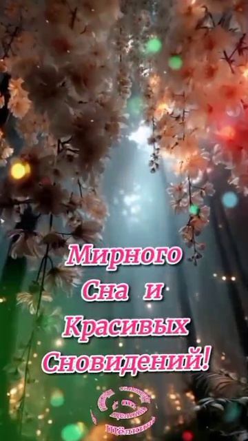 Спокойной ночи. ВидеоОткрытки на Каждый день. смотреть онлайн