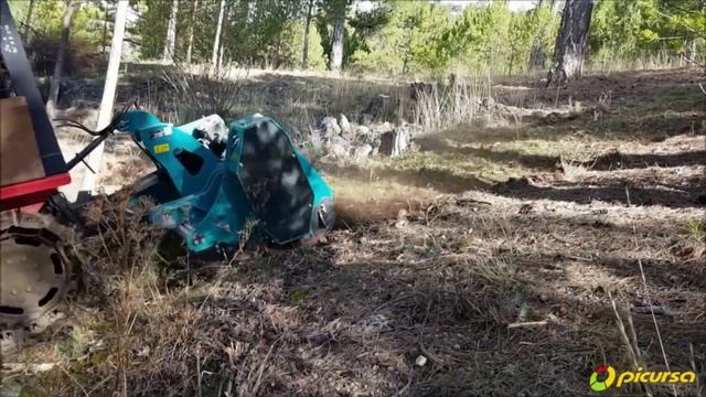 Робота мульчера PICURSA ROTOR 350. Подрібнення гілок після об? смотреть онлайн