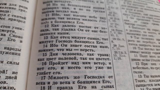 Псалтирь Псалом 102 / 