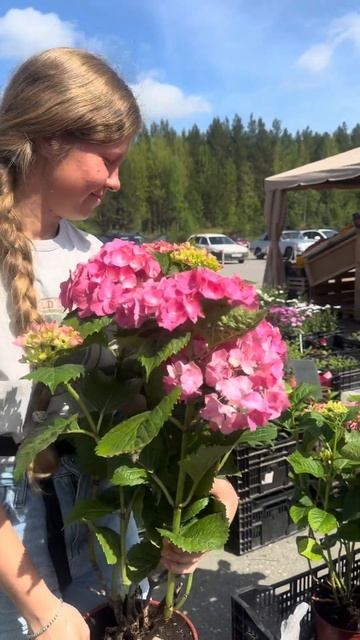 Выставка гортензий #2024 смотреть онлайн