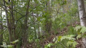 ОТКУДА НАЧАЛСЯ НАШ ЮТУБ КАНАЛ. С ДНЕМ ПОБЕДЫ!