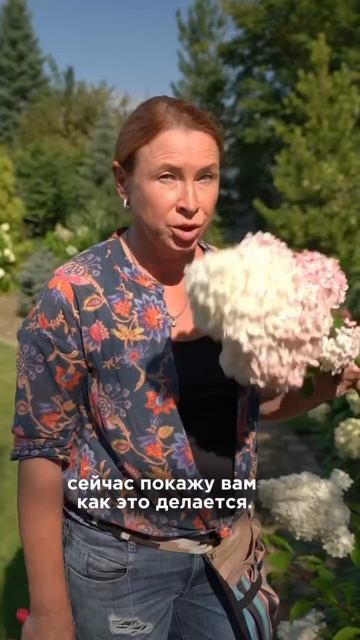 А вы пробовали стабилизировать гортензии? смотреть онлайн