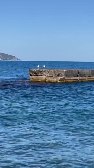 Ялта 💖💖💖 смотреть онлайн