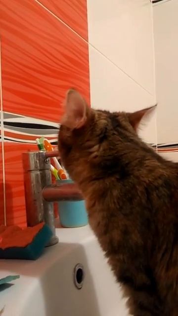 Когда в организме не хватает железа смотреть онлайн