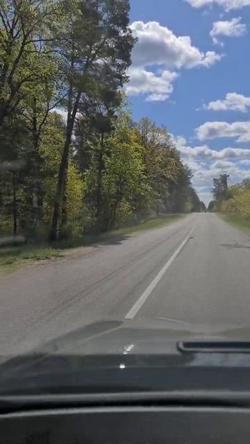 Речицкий район Гомельской области смотреть онлайн