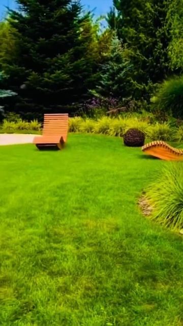 30-летний куст гортензии#гортензія #flowers #hortensia #garden #гор? смотреть онлайн