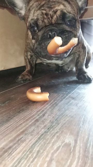 Якур не хочет отдавать калач