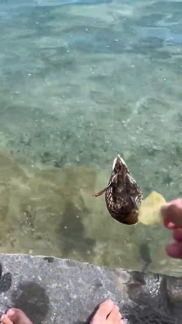 Хорошо когда есть друзья смотреть онлайн