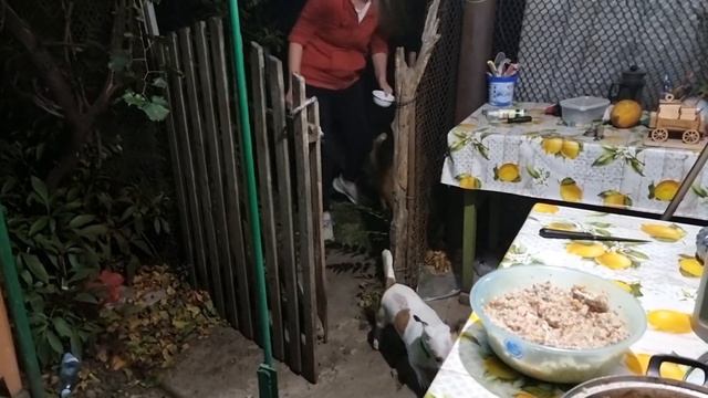 Мне кажется есть шанс выжить! Устали все!Лена не хочет смотреть онлайн