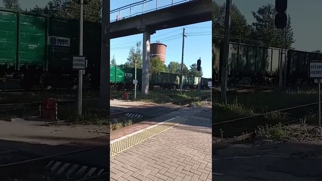 2ТЭ25КМ-0585 тянется с углём через Псков#ржд#поезда#желез? смотреть онлайн