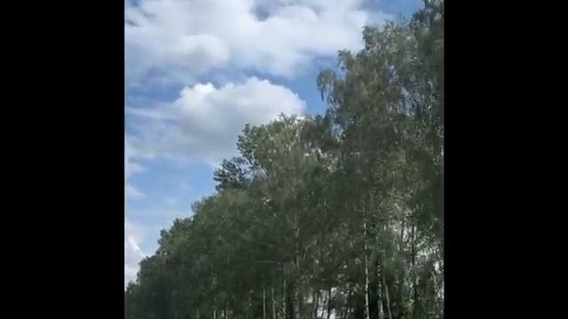 От чего так в Беларуси березы шумят Агроэкоусадьба В х смотреть онлайн