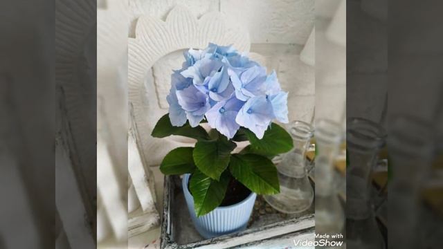 Гортензия из фоамирана✨