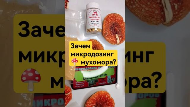 Зачем микродозинг 🍄 мухомора? #микродозинг #мухомор #? смотреть онлайн