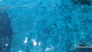 ПОМЕЧТАЕМ О МОРЕ С САМОГО УТРА