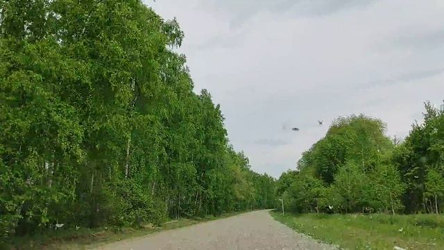 Царство бабочек в Каратузском районе — Цивилизации С? смотреть онлайн