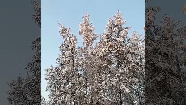 Птички прилетели смотреть онлайн