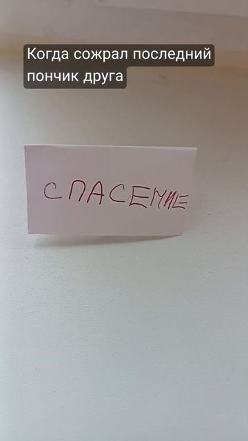 Бедный Рыжий... #кот #рекомендации #анимация #анимации #? смотреть онлайн