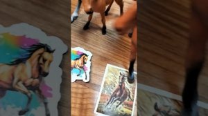 Украшаем КСК