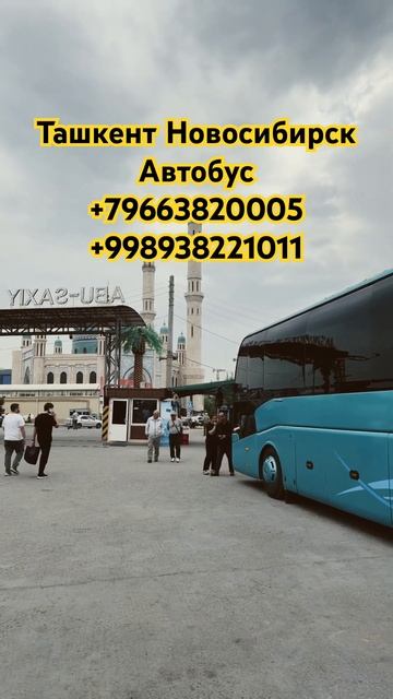 ташкент Новосибирск автобус прямой рейс смотреть онлайн