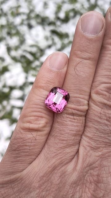 Малайя на снежном фоне. Потрясающий#гранат#garnet смотреть онлайн