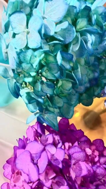 Окрашивание гортензии, завораживающий процесс! Никог?