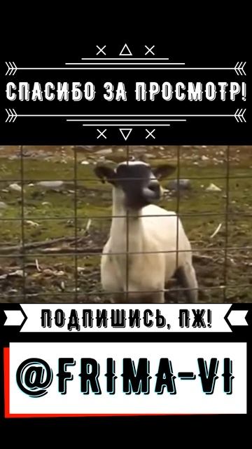 🍕ТУТ ВООБЩЕ ХОРОШАЯ КОНЦОВКА ЕСТЬ?! #farcry5 #farcry #ubisoft #шо? смотреть онлайн