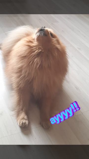 доброе утро)