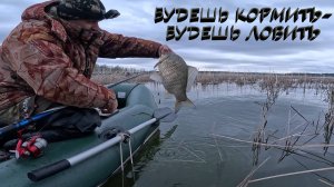 ЛОВЛЮ ПО-КРУПНОМУ...| РЫБАЛКА В КАМЫШАХ