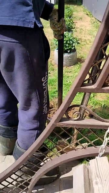 высадка гортензии смотреть онлайн