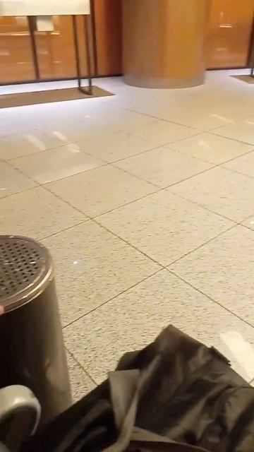 Курительная комната в аэропорту Шереметьево. смотреть онлайн