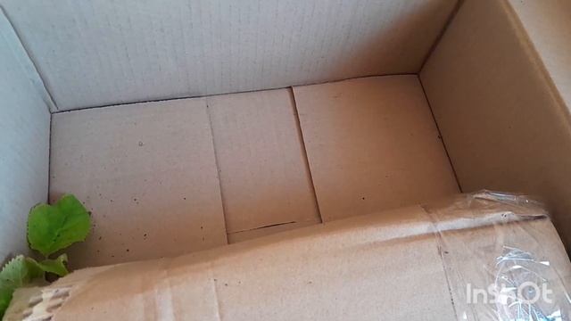 Гортенція Голден Анабель. Розпаковую посилочку.♡ смотреть онлайн