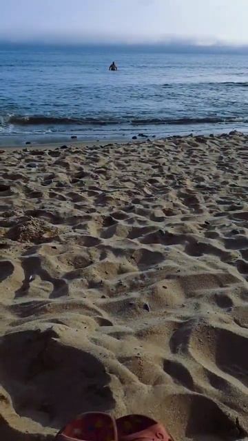 Пляж шикарный, но есть нюансы😅 #приморскийкрай #море #