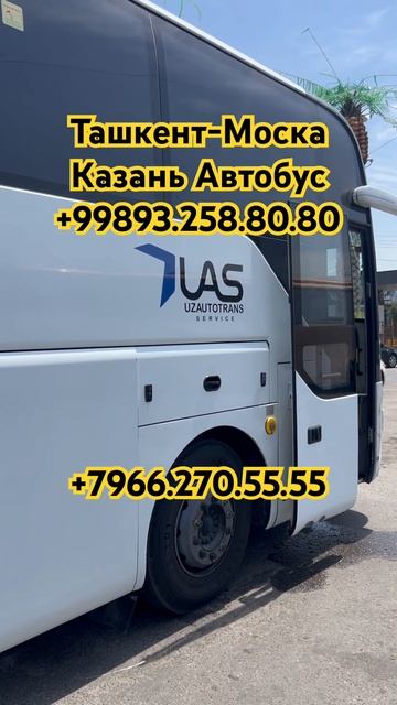 #ташкент #москва #автобус #ташкент #казань #автобус #узб смотреть онлайн