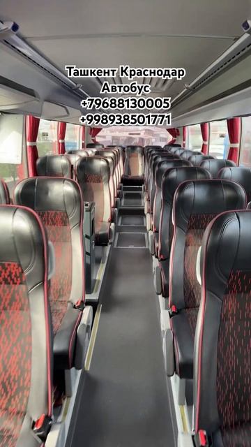 ТАШКЕНТ КРАСНОДАР АВТОБУС #сочи #новороссийск #анапа #? смотреть онлайн