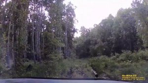 Прямая дорога ст.Тростенцово - п.памяти 13 .орцов