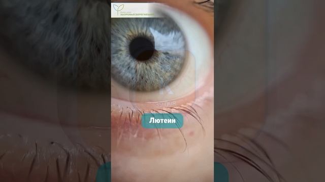 Что будет, если съесть 10 бананов за один раз? смотреть онлайн