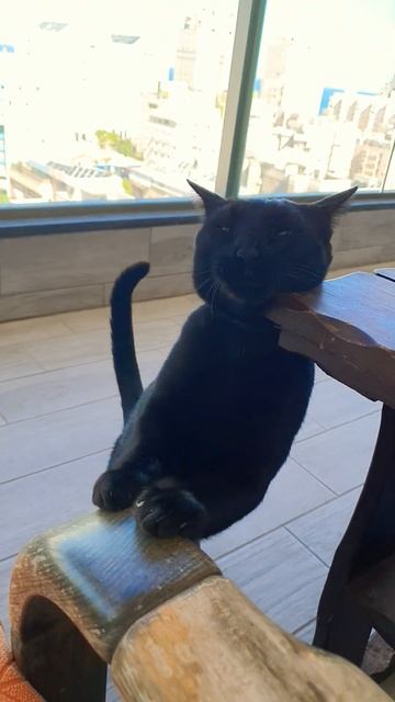 Идем Кожаный! смотреть онлайн