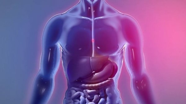 IT'S COLLAGEN - Нативный Коллаген