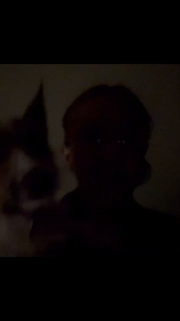 Да у меня есть собака!!лайкните пожалуйста🙂❣️#собак? смотреть онлайн