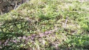 песня✨ Ангела в себе найди!✨