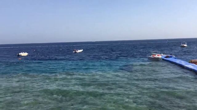 Бухта Sharks bay. Egypt. Ветер. Октябрь смотреть онлайн