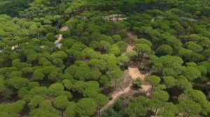 Красивая Азербайджанская песня, Aglama Sevda