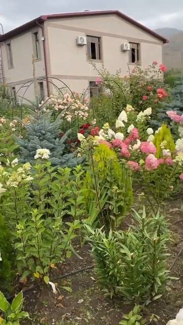 #меградзор#туризм#армения#природа#кайф#жильётуристов#